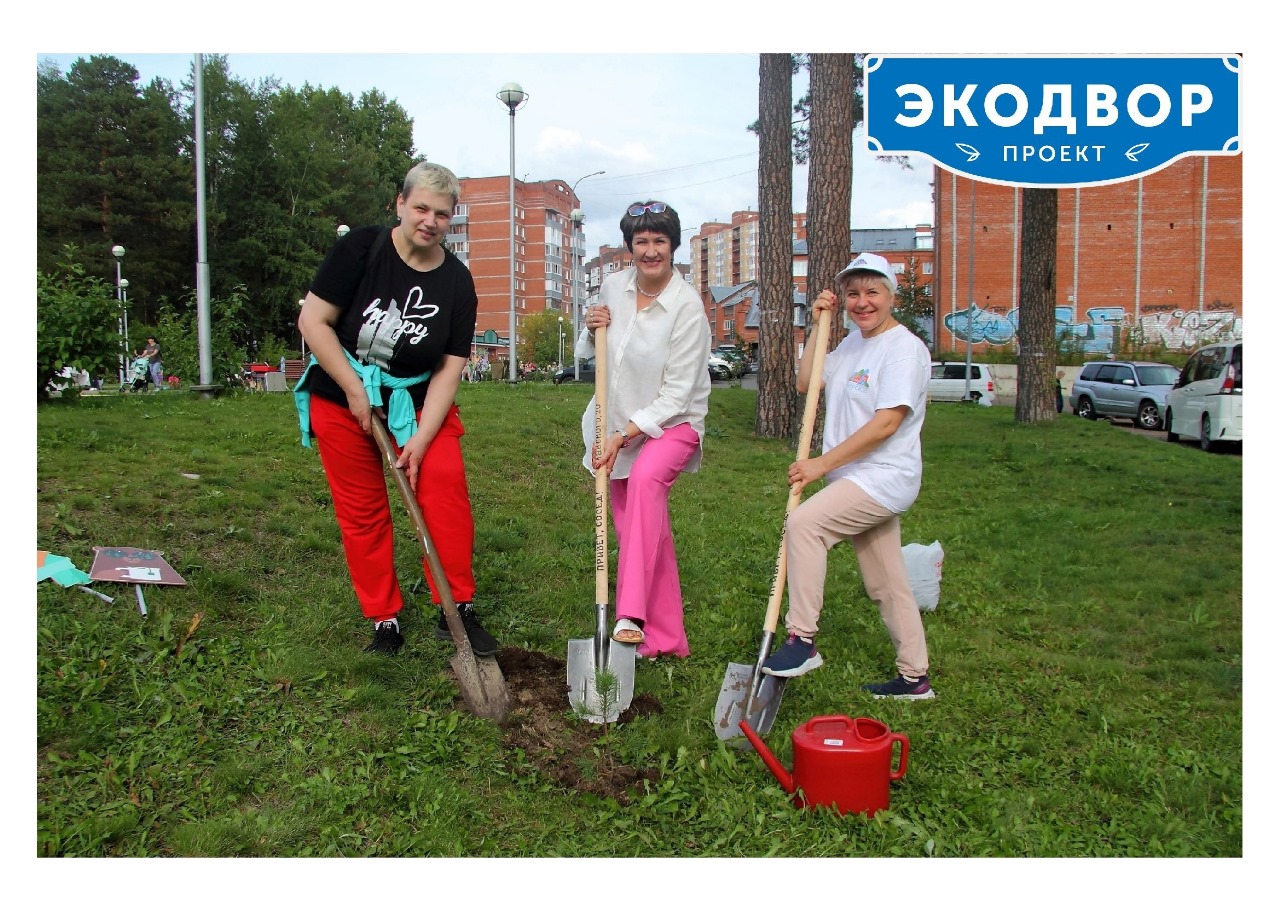 Праздник «ЭКОдвор» в рамках акции «Сибирский кедр в каждый двор» |  Управление культуры Администрации ЗАТО Северск